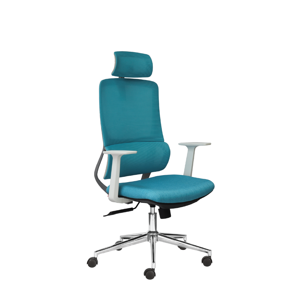 Ghế công thái học M1111 - 01