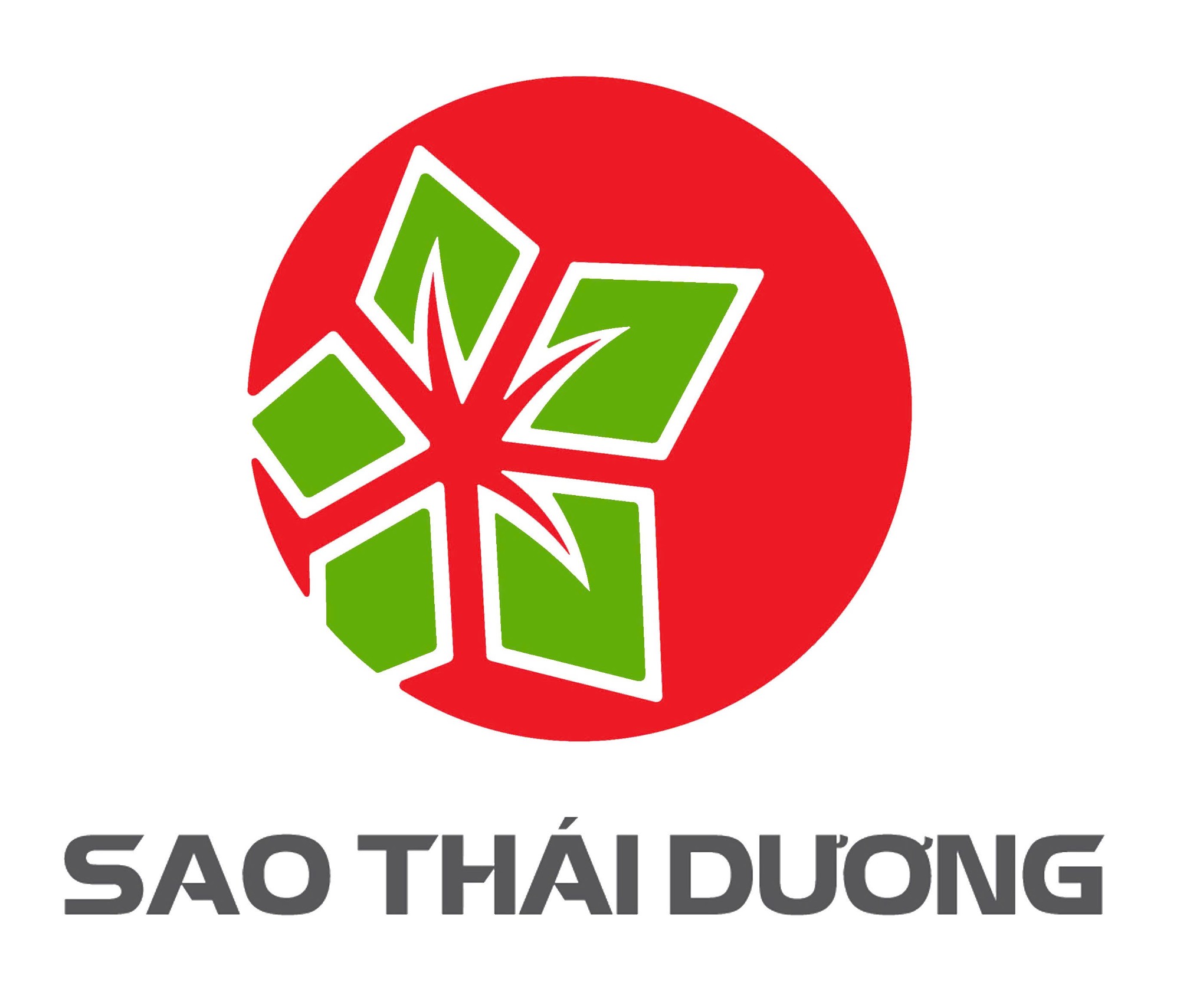 Công ty CP Sao Thái Dương