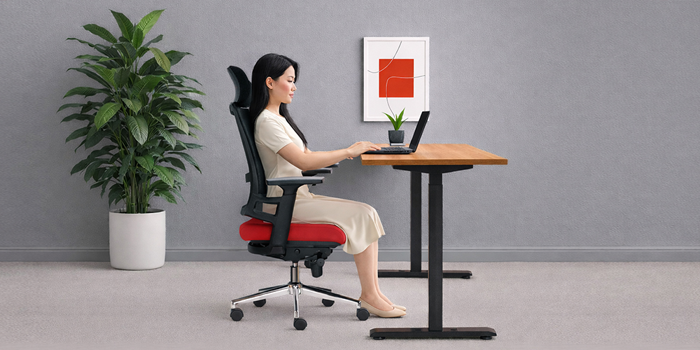 Ghế lưới công thái học - M1085 - 01