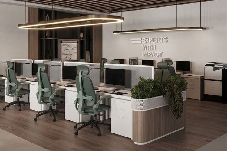 Ghế công thái học đáng mua nhất năm 2026 cho dân văn phòng