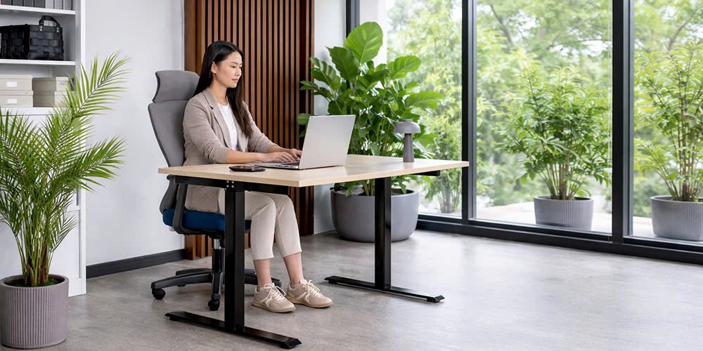 chọn hãng ghế công thái học