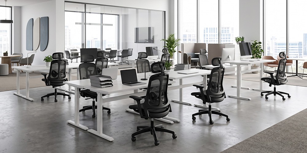 Đối tượng phù hợp với bàn làm việc nâng hạ