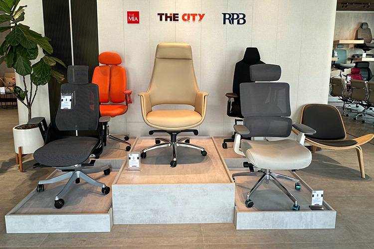 Import Policy & Director Chair Discount Program for TheMia Dealers – High Profit, Comprehensive Support