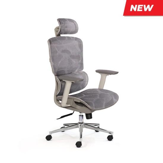 Ghế công thái học BACKPRO 01