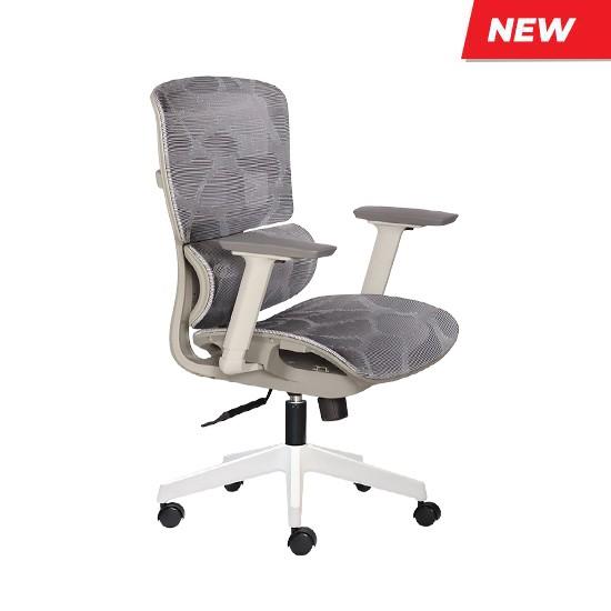 Ghế công thái học BACKPRO 02