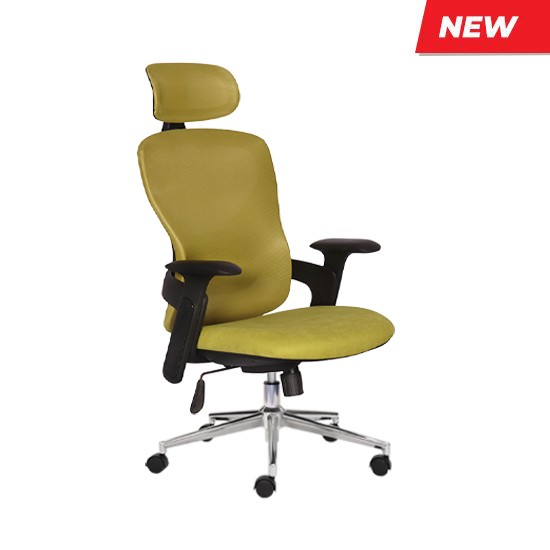 Ghế công thái học ROCK D - 01