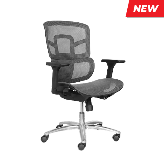 Ghế công thái học M1105
